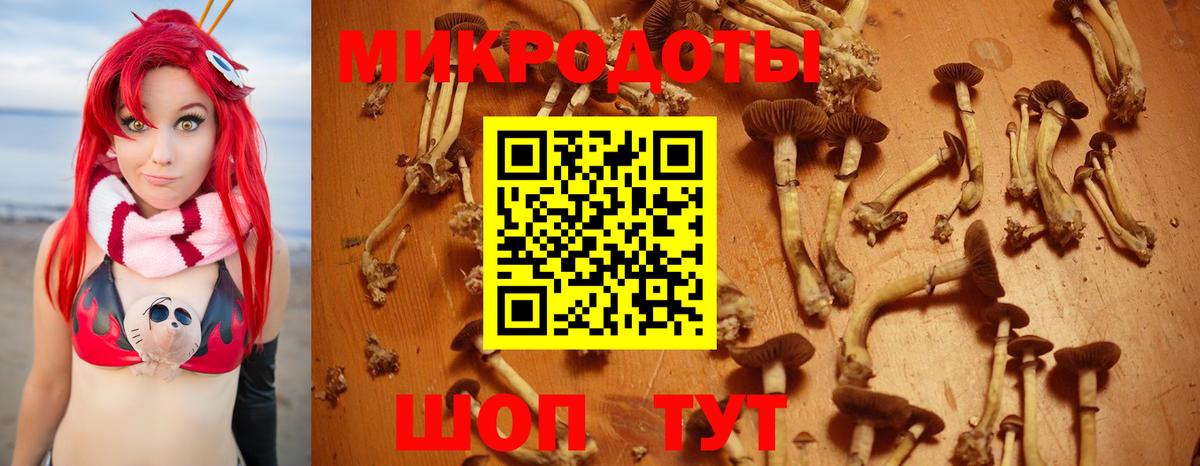 Галлюциногенные грибы Psilocybine cubensis  Вход с VPN  наркошоп  Славянск-на-Кубани  Галлюциногенные грибы мухоморы 